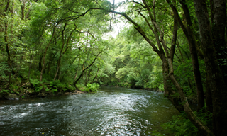 Río Mandeo